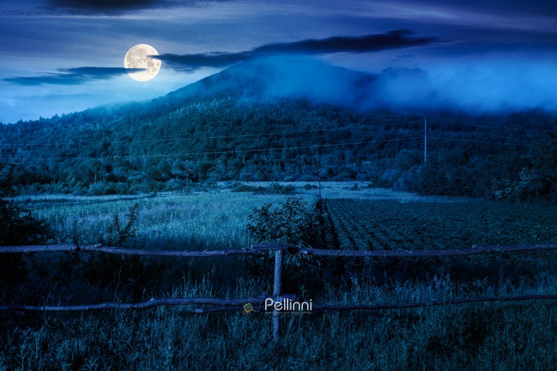 mountain landscape of ukraine with rural field in summer at foggy night. beautiful countryside scenery with forest on the hill in full moon light. mysterious view of a agriculture scene