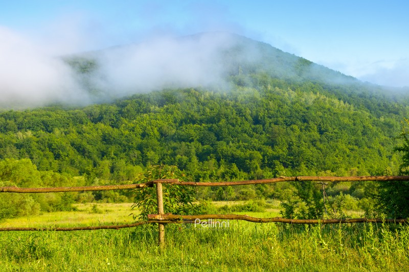 mountain landscape of ukraine with rural field in summer. beautiful countryside scenery with forest on the hill in morning fog. scenic view of a carpathian agriculture scene on a sunny weather day