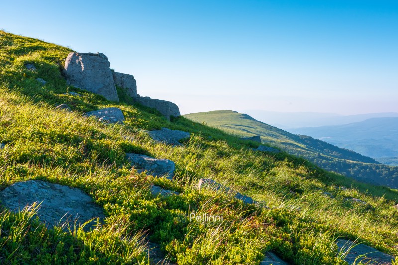 mountain landscape on a summer morning. beautiful outdoor scenery of carpathian mountains. grassy slopes with rocks. image for ukraine travel background