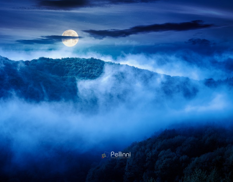 mountain landscape with cold fog at night. low clouds evaporating over the forested hill in full moon light. outdoor scenery in spring for remote highland ecotourism. mysterious greenery fantasy
