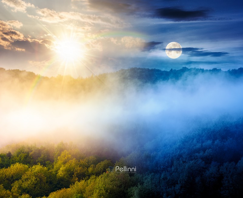 mountain landscape with cold fog. day and night time change conc mountain landscape with cold fog. day and night time change concept. low clouds over the forested hill with sun and moon. outdoor scenery in spring for remote highland ecotourism. wonderful greenery