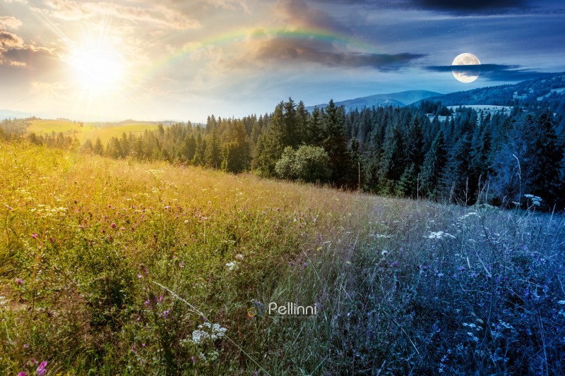 mountain landscape with fir forest on the hill on summer solstice. hiking through beautiful nature scenery of alpine countryside with sun and moon at twilight. day and night time change concept