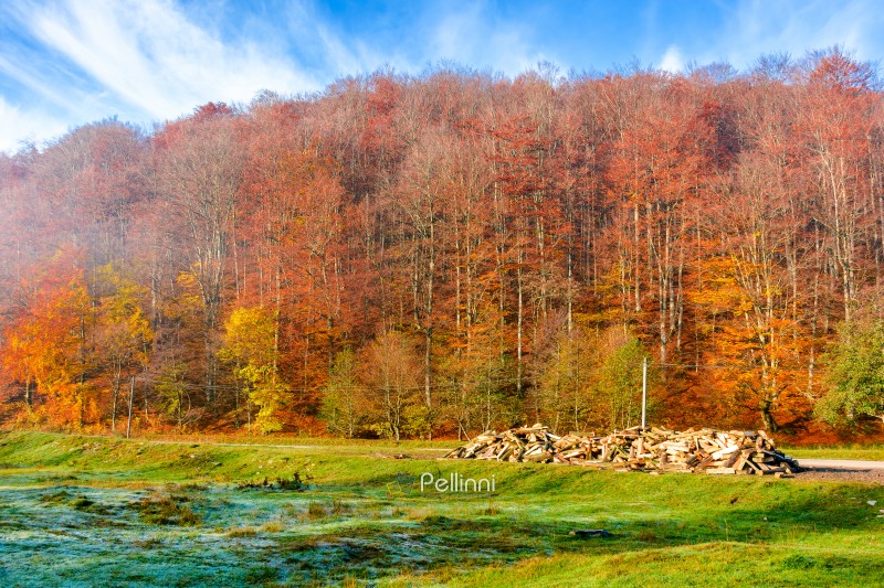 mountain landscape with forest in autumn. travel background with road in fall season. beautiful countryside scenery of ukraine under blue sky. sunny weather. pile of firewood near the path