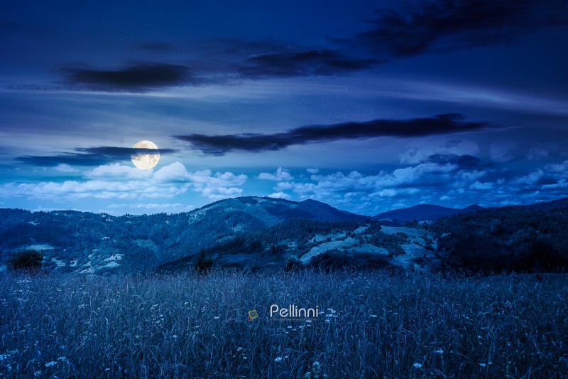 mountain landscape with grassy field at night. full moon over tr mountain landscape with grassy field at night. full moon over trees on the rolling hills and rural valley beneath a dark sky in the background. mysterious view of carpathian mountains in summer