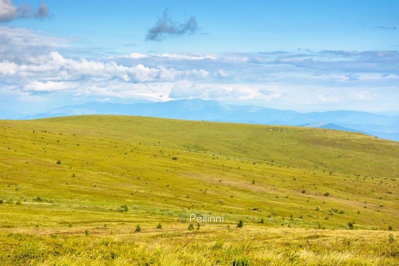 mountain landscape with green grass in summer. alpine meadow under blue sky with clouds. beautiful nature scenery with distant ridge. vast land