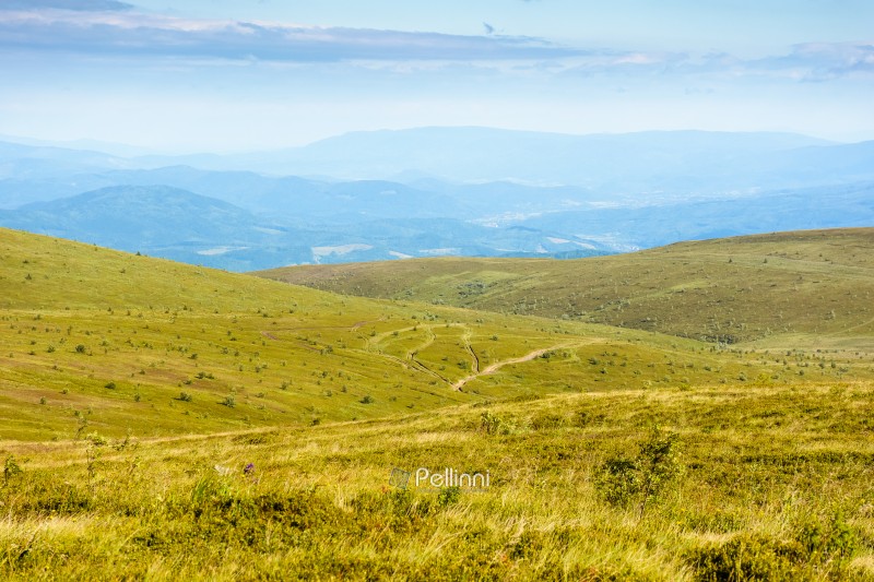 mountain landscape with green grass in summer. alpine meadow under blue sky with clouds. outdoor adventure in vast carpathian alps of transcarpathia