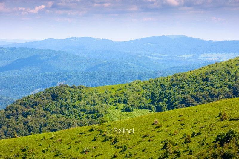 mountain landscape with rolling hills. travel carpathians in summer. scenery with green grass on the slope on a sunny day under blue sky
