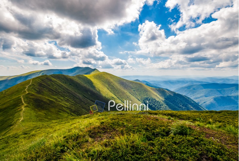 mountain ridge and valley in beautiful Carpathians. lovely mountainous scenery on cloudy summer day