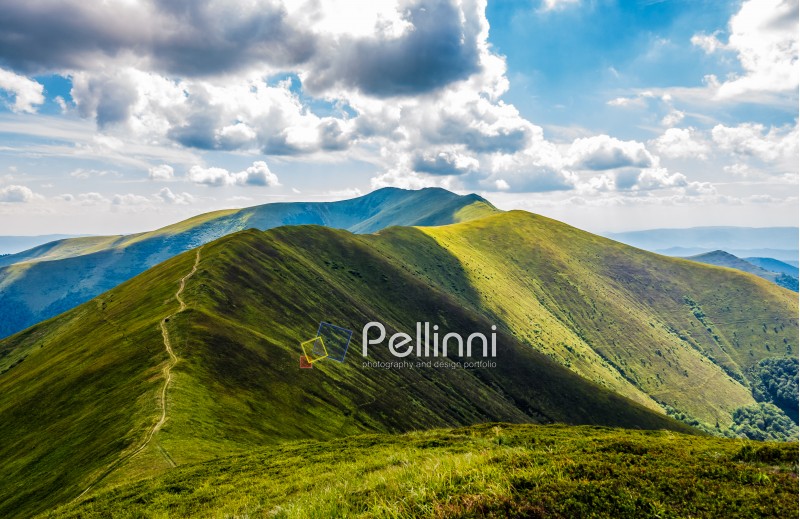mountain ridge path through grassy hills. gorgeous mountainous landscape in Carpathians on cloudy summer day