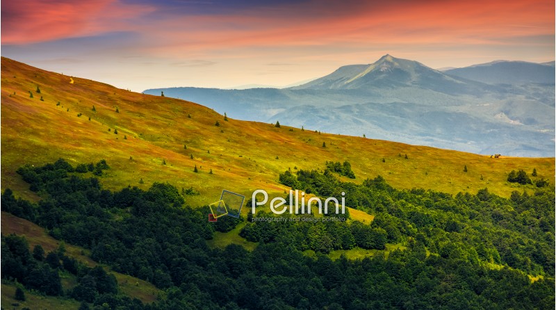 mountain ridge with peak behind the hillside. beautiful summer background at sunset with red sky;