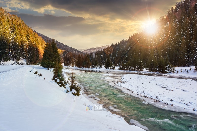 mountain river in winter at sunset in evening light. snow covered river banks. forest in snow on the distant mountain. cloudy morning