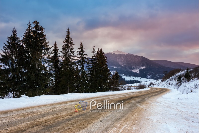 Empty asphalt mountain road under the snow  near the coniferous forest with cloudy sky in winter evening light