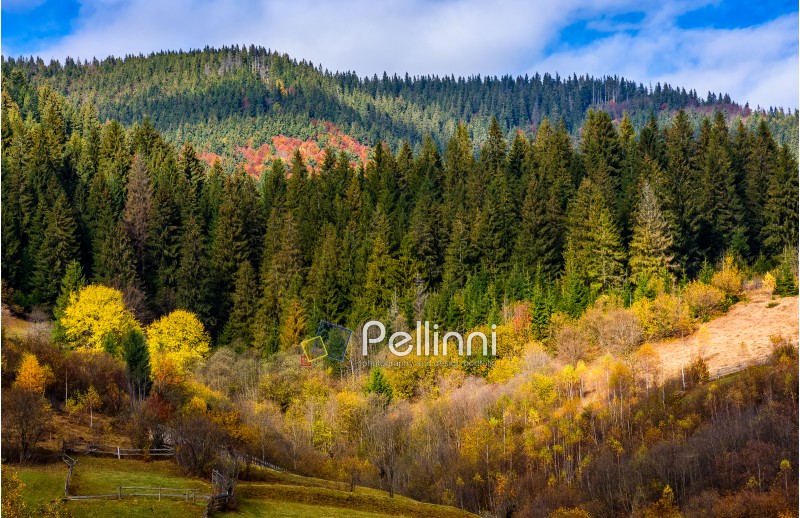 mountain rural area in autumn season. agricultural field with haystack on a hill near the forest with red foliage. beautiful and vivid landscape.