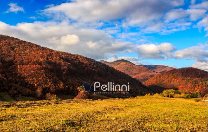 mountain landscape in autumn season. beautiful and vivid countryside with blue sky and clouds.