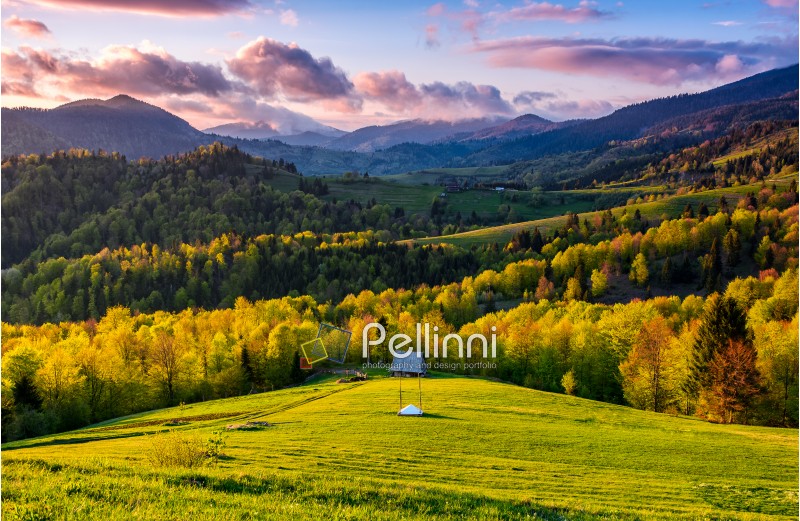 mountain rural area in springtime. agricultural fields on hills with forest. beautiful and vivid countryside landscape with cloudy sky at sunset.