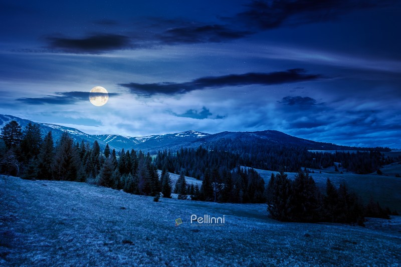 mountain scenery with coniferous forest at night. full moon over mountain scenery with coniferous forest at night. full moon over countryside landscape with grassy fields and rolling hills. springtime rural area under cloudy sky. mysterious outdoor adventure