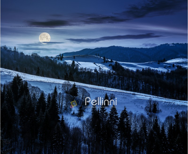 mountainous rural area of Carpathians in winter on fresh frosty night in full moon light