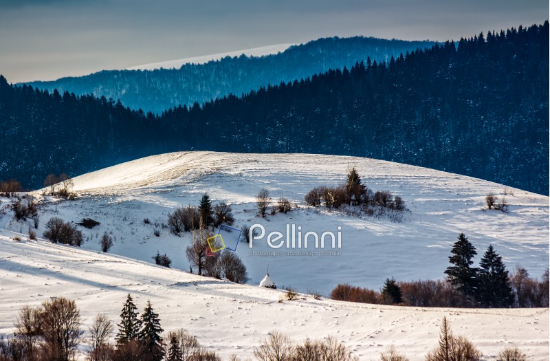 mountainous rural area of Carpathians in winter on fresh frosty morning