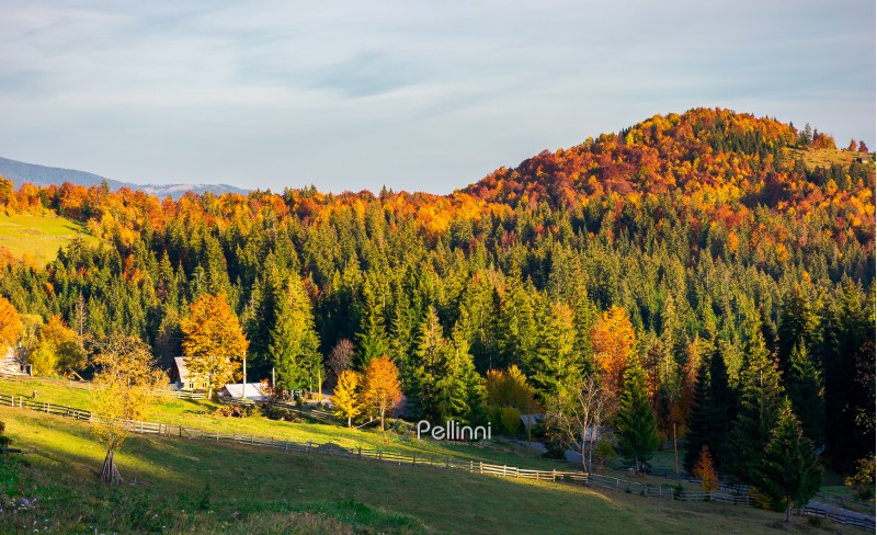 mountainous countryside in autumn. village near the forest in evening