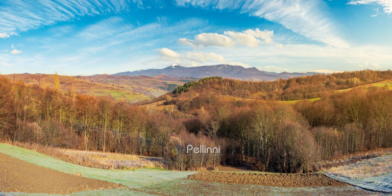 panorama of mountainous countryside in late autumn. almost leafless forest on hill. gorgeous cloudscape above the ridge with high peak in snow in the distance 
