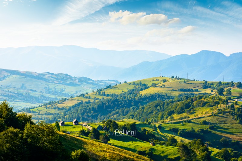 mountainous countryside landscape with rolling hills on summer morning. rural area of mizhhirya district. beautiful view of place with green grassy pastures in carpathian mountains of ukraine