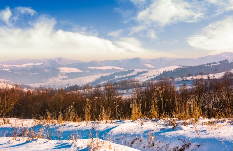 mountainous countryside on bright winter day. lovely Carpathian landscape