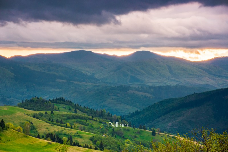 mountainous countryside scenery in the afternoon. gloomy sky vie mountainous countryside scenery in the afternoon. gloomy sky view above the valley. green fields and trees on the hills. volatile nature scenery of carpathian mountains