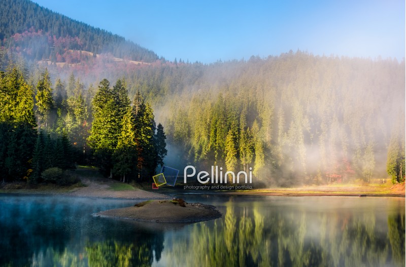 mountainous lake with small island reflects an environment of misty spruce forest on hillsides. stunning landscape with thick fog among the trees at fresh autumn sunrise