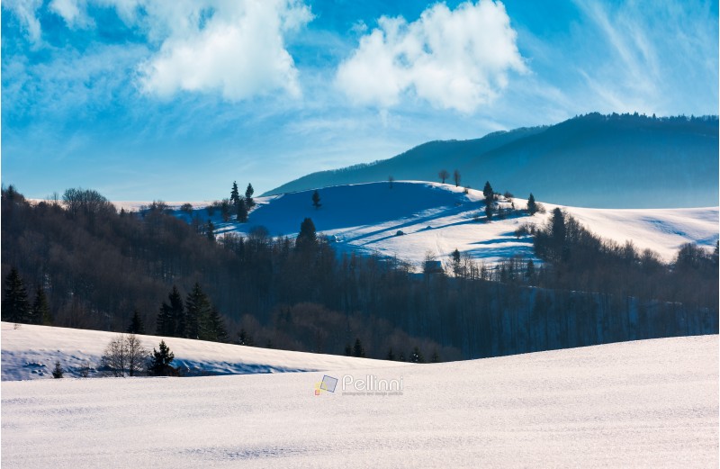 mountainous landscape on a bright winter day. wonderful cloudscape above the snow covered hills rolling hills