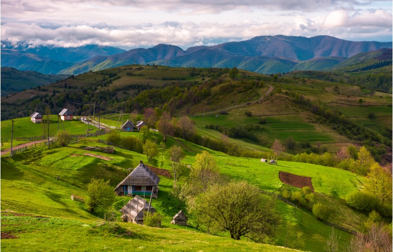 mountainous rural area in springtime. agricultural fields and orchards on a grassy slopes.  outdated industrial approach, traditional farming concept