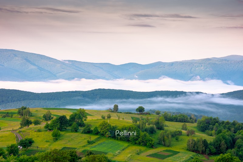 mountainous rural area of transcarpathia during springtime. remo mountainous rural area of transcarpathia during springtime. remote mountain landscape with forested rolling hills. foggy morning in wonderful place of alpine countryside wallpaper