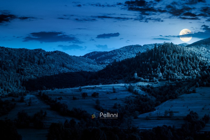 mountainous rural landscape in summer at night. field and forest on the hill in full moon light. alpine countryside in remote region of carpathian mountains