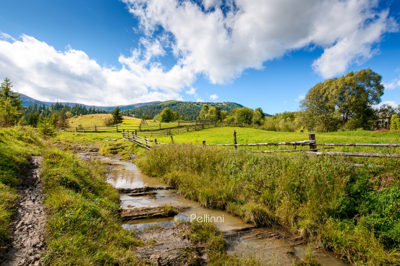 mountainous rural landscape of ukraine in autumn. wooden fence near the path through grassy meadow on the hillside. scenery with fir forest on the mountains on a sunny day under blue sky with clouds