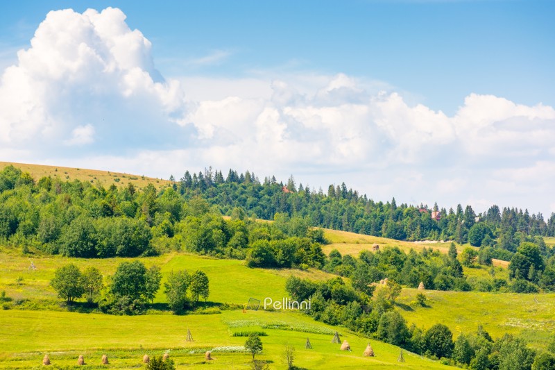 mountainous rural landscape on a sunny day. countryside scenery with lush trees, grassy fields, haystack and arable on the slope of a hill. fluffy clouds on the sky. organic adventure place; 