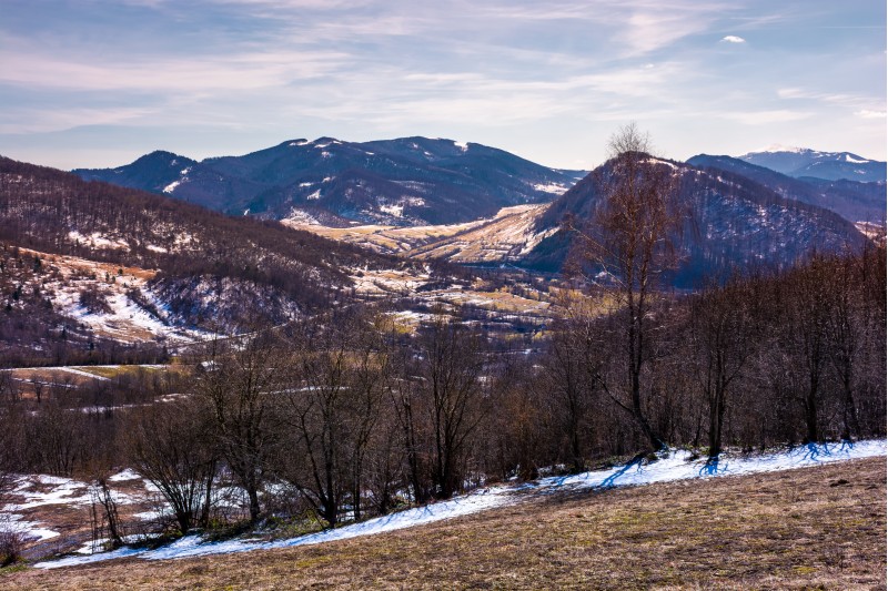mountainous scenery of Uzhansky National Park. leafless forest on hills with weathered grass and some snow in springtime