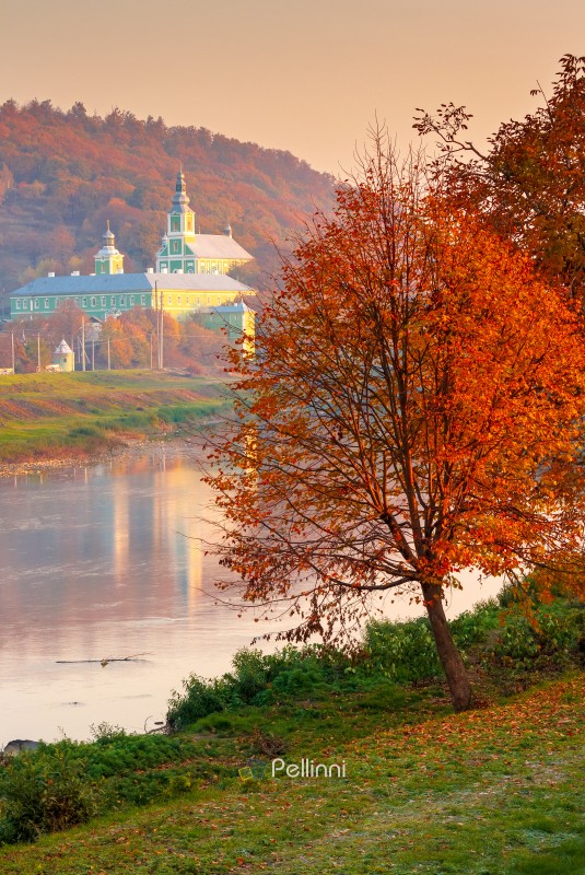mukachevo, ukraine - 06 nov, 2015: urban landscape with river and trees in autumn. reflection of a monastery in the distance. beautiful travel destination of transcarpathia