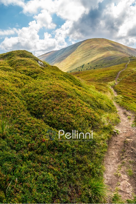 narrow path through a meadow down the mountain ridge to the rural valley
