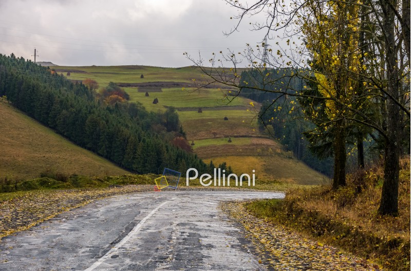 old countryside road on rainy day. gloomy autumn scenery in mountainous area
