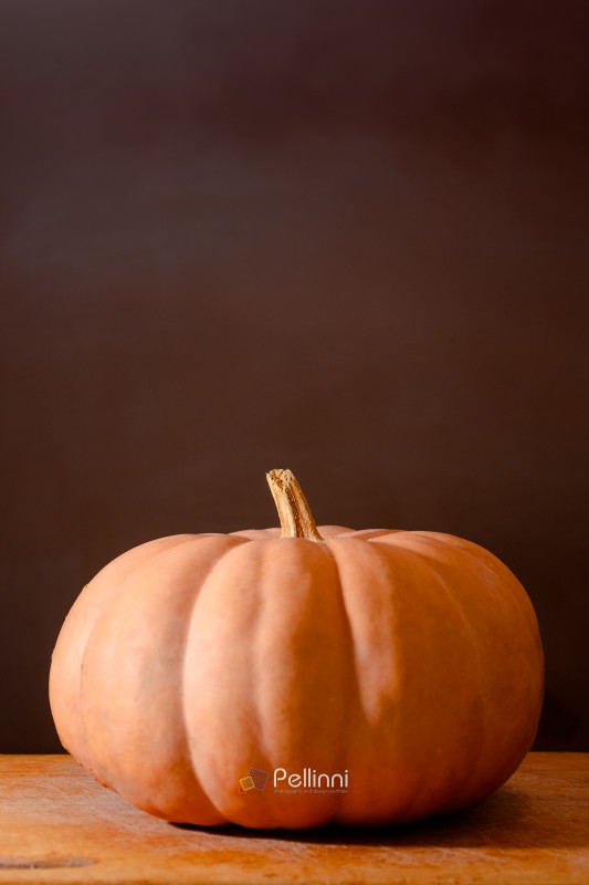 orange pumpkin on the wooden table. autumn vegetable harvest. da orange pumpkin on the wooden table. autumn vegetable harvest. dark background for thanksgiving