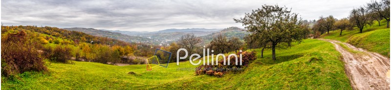 panorama of apple orchard and a wild rose bush on top of the mountain in late autumn cloudy day