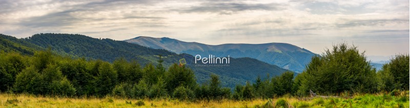 panorama of Carpathian mountains in summer. beautiful landscape with forested hills and Apetska mountain in the distance. 