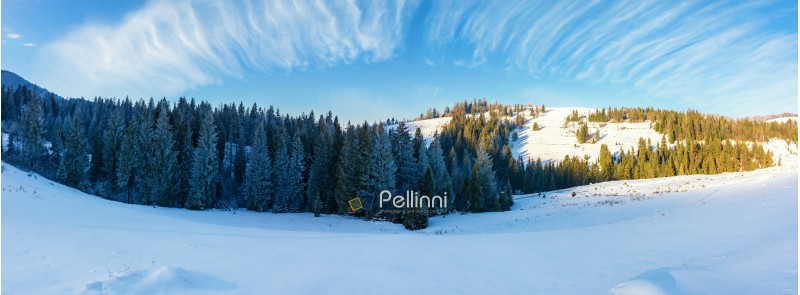 panorama of a beautiful winter landscape. spruce forest on a snow covered hills. part of trees in the shade. wonderful nature scenery in mountains