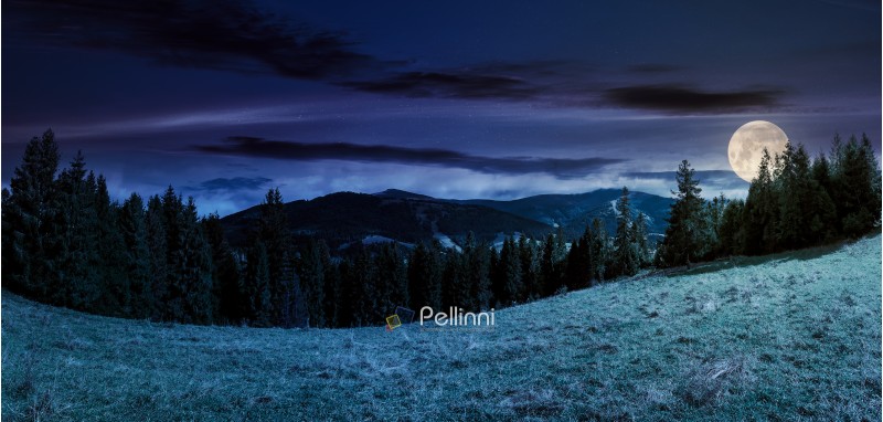 panorama of alpine forest glade at night in full moon light. beautiful early autumn landscape in Carpathian mountains. joyful vacation in wilderness