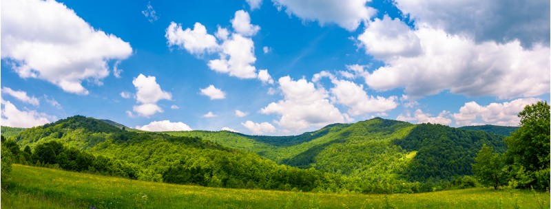 panorama of beautiful countryside in summer. beautiful landscape with forested mountains and grassy field under the blue sky with some clouds