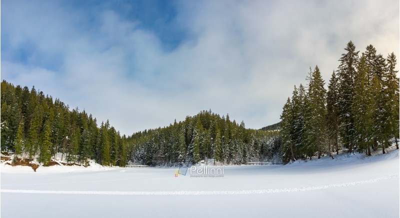 panorama of beautiful winter scenery in mountains. frozen lake cowered with snow. spruce trees on the shore. wonderful sunny weather