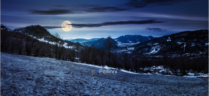 panorama of mountainous countryside in springtime at night in full moon light. leafless trees and weathered grass on a meadow. spots of snow on the forested hills. gorgeous blue sky with some cirrus clouds