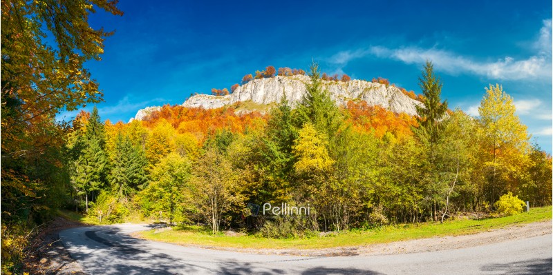 road; cliff; journey; mountain; travel; nature; outdoor; background; panorama; gorgeous; serpentine; autumn; forest; huge; rocky; formation; above; path; beautiful; weather; colorful; foliage; gorge; crag; destination; Apuseni; Romania; landscape; countryside; adventure; scaur; steep; fall; Vartop; reddish; Pietrele Negre; alpine; climb; extreme; high; majestic; pinnacle; rock wall; scenic; district; granite; difficult; magnificent; stunning; splendid