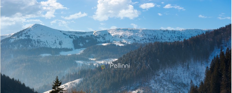 panorama of mountain ridge and forested hills. lovely winter scenery