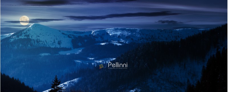 panorama of mountain ridge and forested hills at night in full moon light. lovely winter scenery