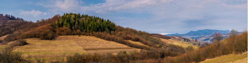 panorama of mountainous area of Carpathians. lovely springtime landscape located near the Volovets town, Ukraine